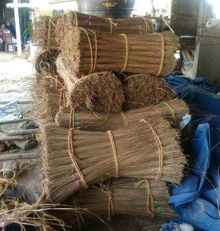 Tied coconut bundles pile