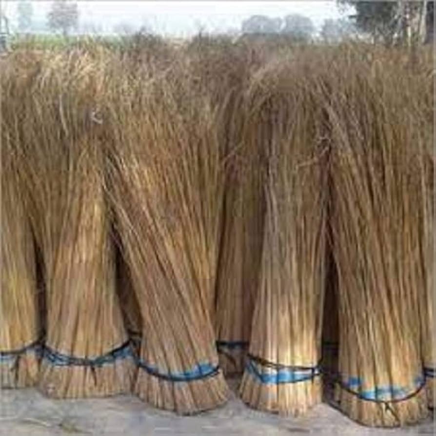 Tied grass bundles standing