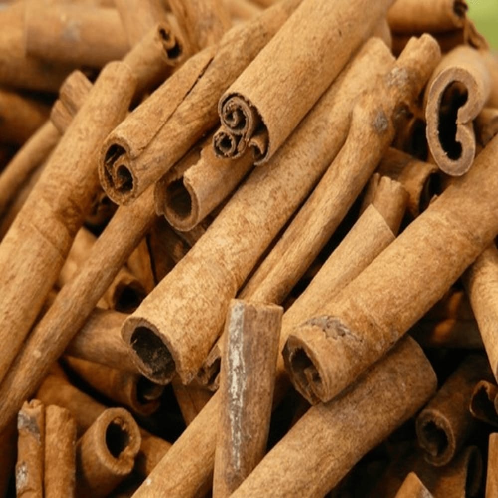 Cinnamon sticks close-up